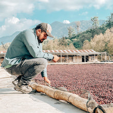 Load image into Gallery viewer, * Sold Out ** Mexico Chiapas - Pepe Argüello
