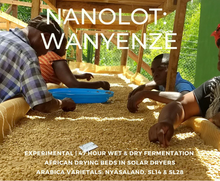 Load image into Gallery viewer, Uganda Sironko - Wet &amp; Dry Fermentation - Wanyenze Lot 19 ** NEW **
