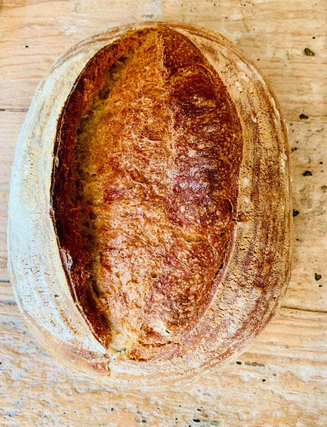 Organic Country White Sourdough Bread