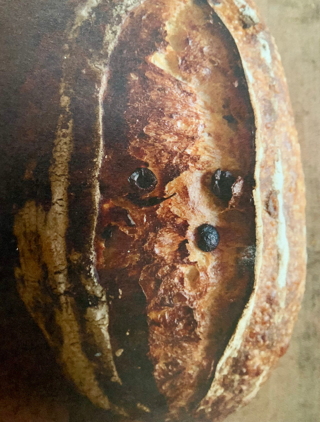 Olive Organic Country White Sourdough Bread