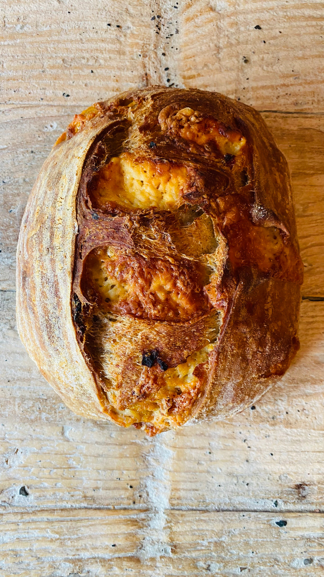Sun Dried Tomato & Cheddar Organic Country White Sourdough Bread