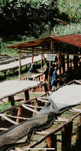 Load image into Gallery viewer, Rwanda Kivu Bwishaza
